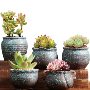 Glazed Terracotta Pots | Set Of 5